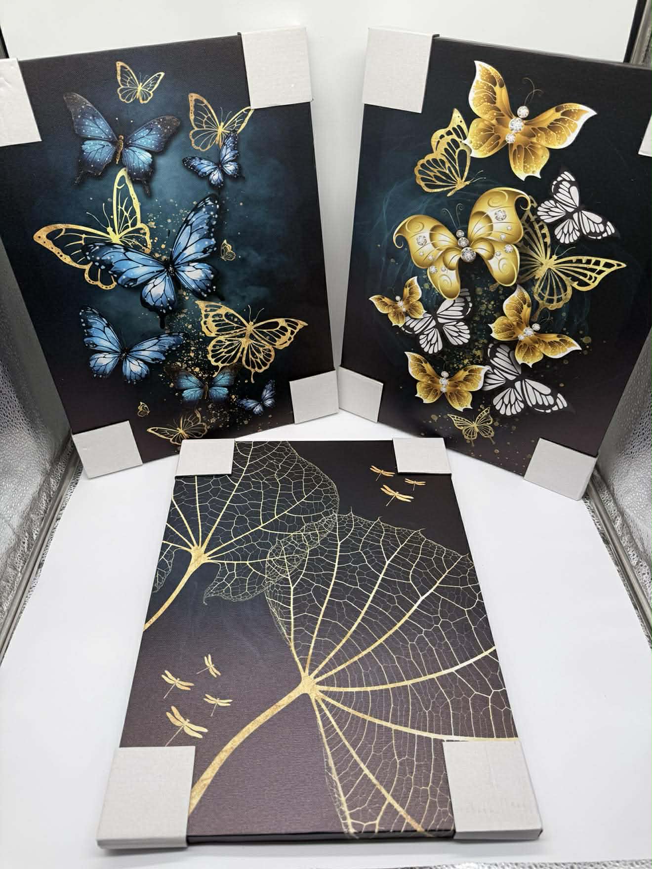 Butterfly canvas set